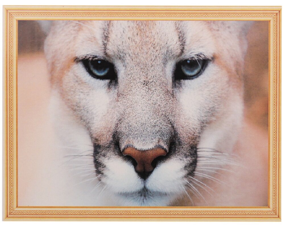 зверь 40. 75b24l зверь. алмазная мозаика 40х50 тигр qa 202970. аккумулятор зверь asia 125d31l. зверь 40.