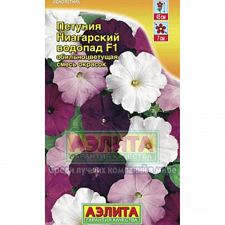 Разноцветный