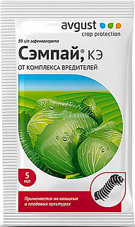 Разноцветный