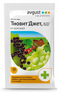 Разноцветный